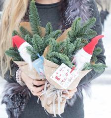 Новогодний букет