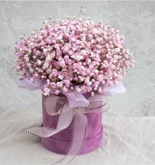 Бесконечное лето