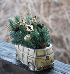 Полярный экспресс