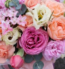 Цветущая весна