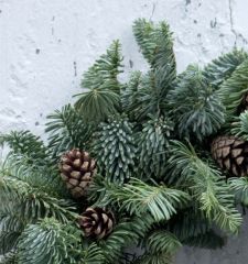 Основа для рождественского венка