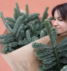 Банч Нобилис M