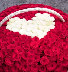 Чувства без границ