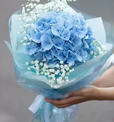 Скай