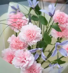 Нежное дыхание