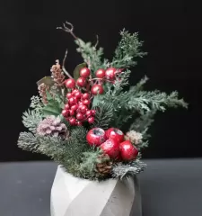 Зимняя ягода