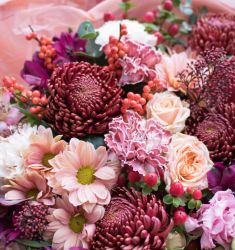 Багровая осень