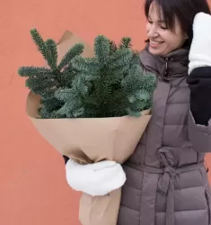 Банч Нобилис M