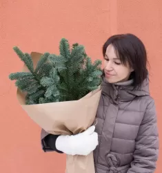 Банч Нобилис M