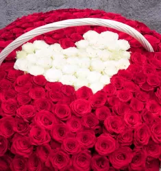 Чувства без границ