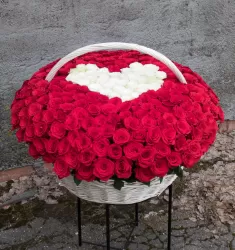 Чувства без границ