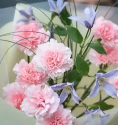 Нежное дыхание