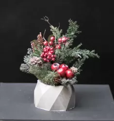 Зимняя ягода