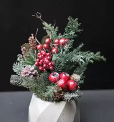 Зимняя ягода