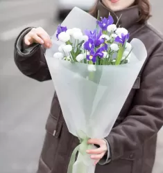 Элеганс М