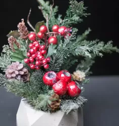 Зимняя ягода